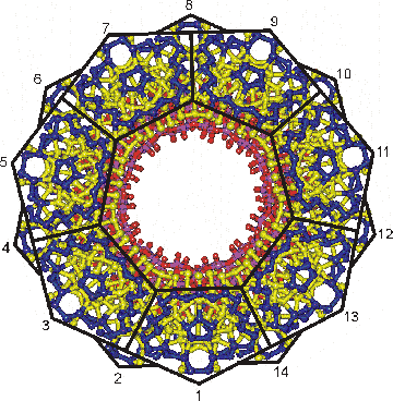 The 14 possible linking surfaces] of the nanowheel
