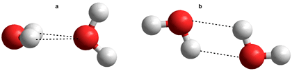 Putative water dimers