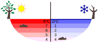 emperature distribution in a lake in summer and winter, from Klaus-Dieter Keller