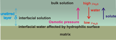Self-generation of osmotic pressure at interfaces