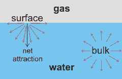 Surface tension explanation
